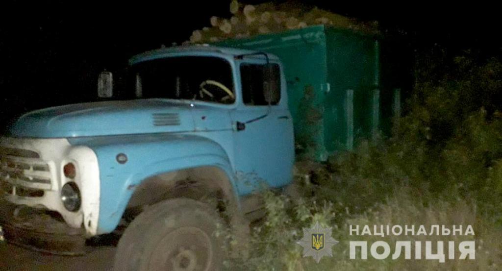 В Днепропетровской области работают «черные лесорубы» . Новости Днепра