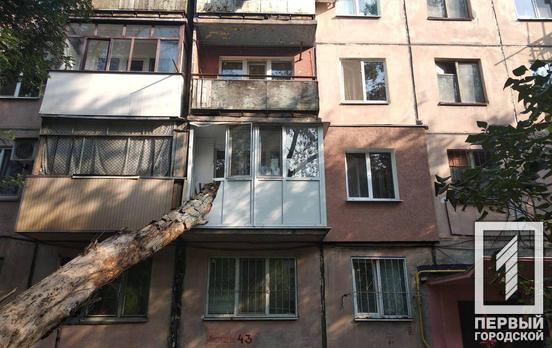 Упавшее дерево проломило балкон и застряло внутри квартиры. Новости Днепра