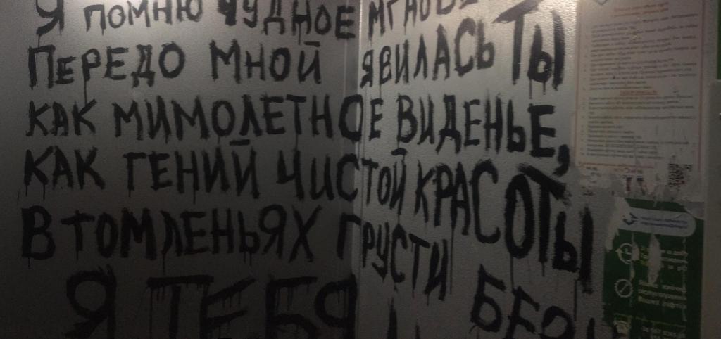«Пушкинисты х***вы»: в Днепре неизвестные изрисовали лифт. Новости Днепра
