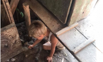 «Воет как маленький волк»: волонтеры нашли «украинского Маугли»