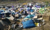 «Нам сказали вывозить сюда»: в Днепре частная фирма «завалила» жителей жилмассива мусором