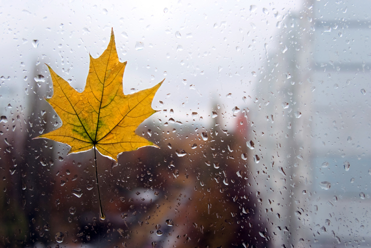 Готовим куртки и зонты: синоптики сообщили об ухудшении погоды. Новости Днепра