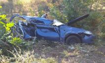 Погиб пассажир: авто влетело в фуру, полиция ищет свидетелей