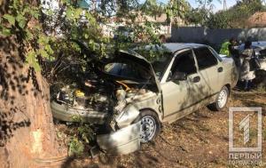 Новости Днепра про Автомобиль на полном ходу влетел в дерево, пострадавшего доставали из машины прохожие