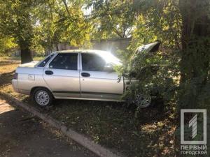 Новости Днепра про Автомобиль на полном ходу влетел в дерево, пострадавшего доставали из машины прохожие