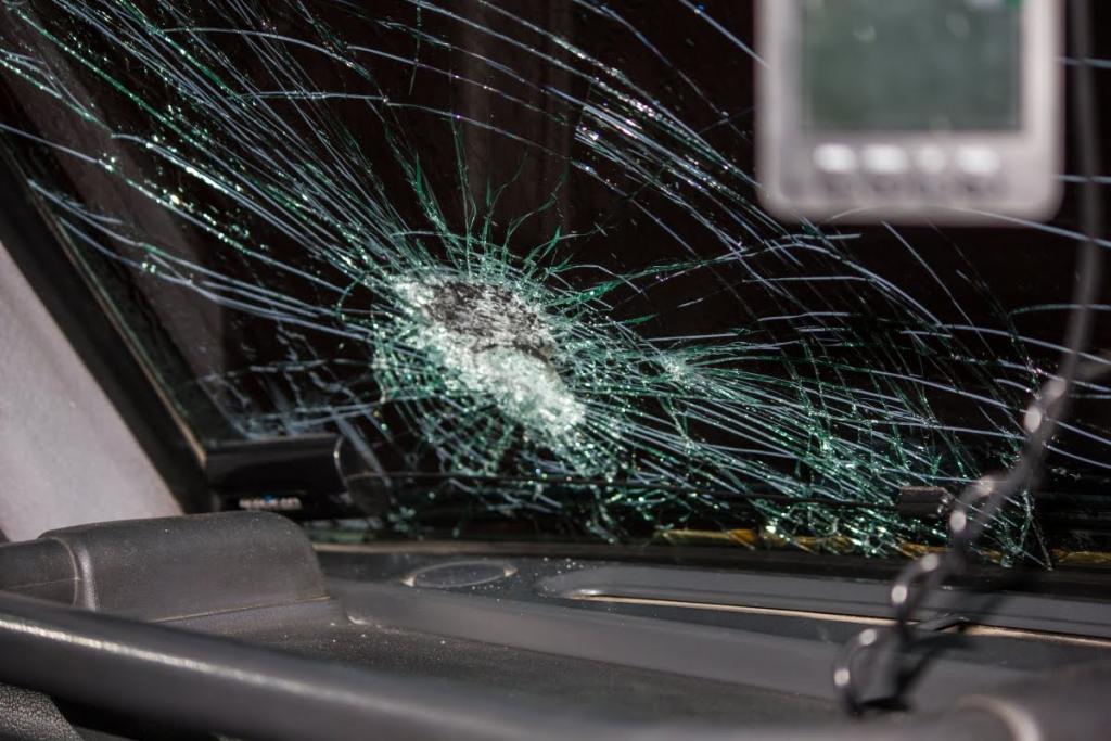 «Парковка не спасла»: ветка пробила лобовое стекло автомобиля. Новости Днепра