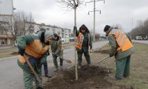 На проспекте Поля в Днепре высадят более 200 молодых деревьев