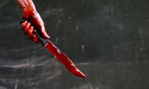 Избили и 5 раз ударили ножом: в Днепре подростки опубликовали видео издевательств над прохожими