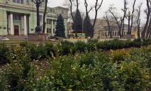 «Зеленый город»: в Днепре высадили многолетние растения