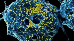 Бушует опасный коронавирус: можно ли получать посылки из Китая. Новости Украины