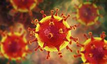 Украинка заразилась коронавирусом: подробности