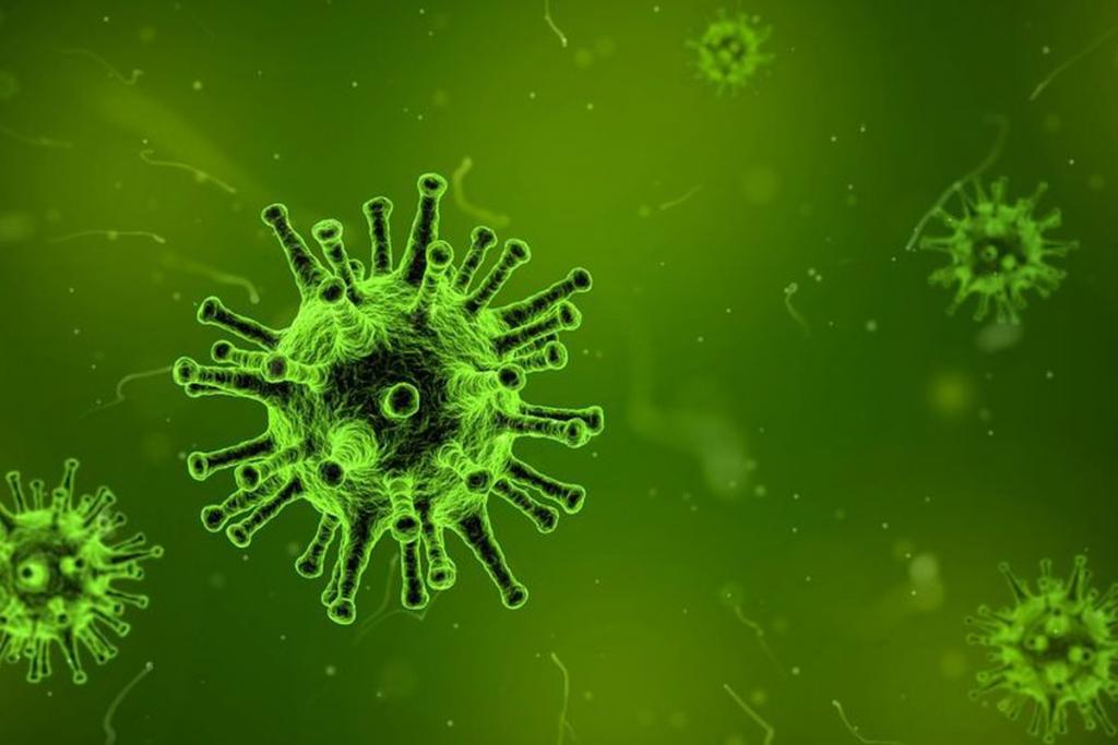 Китайский коронавирус: погибли почти полтысячи человек. Новости мира