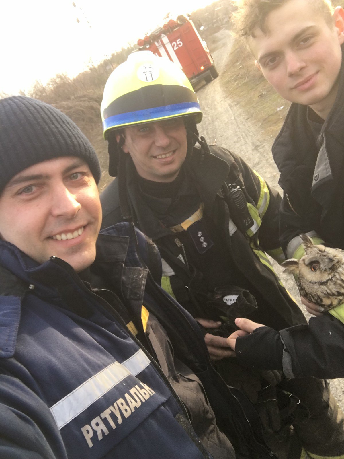 Пожар в Днепре: спасатели вытащили из огня сову. Новости Днепра