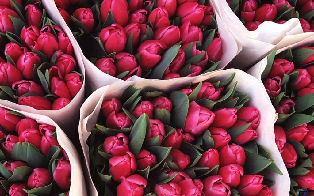 Букет к 8 марта: где в Днепре работают цветочные рынки. Новости Днепра
