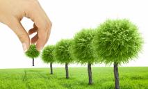 Озеленение Днепра: где в городе высадят новые деревья