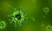 Официально: в Украине подтверждены 2 новых случая заражения коронавирусом