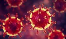 Экспресс-тесты на коронавирус: где их будут проводить