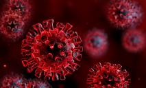 На Днепропетровщине — 16 новых случаев коронавируса
