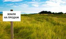 «Исторический момент»: Зеленский подписал закон о рынке земли в Украине