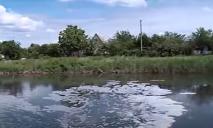 «Там фекалии конкретные»: экологическая катастрофа на Днепропетровщине