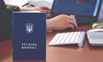 В Украине появились электронные трудовые книжки: что изменится
