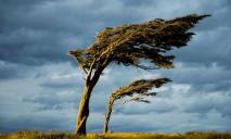 В Днепре и области – сильные порывы ветра