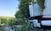 ДТП на Днепропетровщине: водитель фуры с цементом не справился с управлением