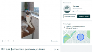 Новости Днепра про «Кот напрокат»: каких животных днепряне сдают в аренду для проведения фотосессий