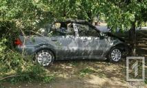 На Днепропетровщине автомобиль врезался в дерево