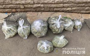 Новости Днепра про Во дворе горожанина нашли большие кусты марихуаны
