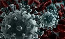Пандемия коронавируса: Украина обновила список стран «красной» и «зеленой» зон