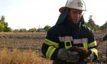На пожаре под Днепром спасли ежа