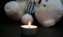 Трагедия: в Днепре умер 2-летний мальчик, которого покусали овчарки