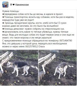 Новости Днепра про Под Днепром дачники завершили сезон и бросили собак умирать