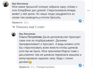 Новости Днепра про Под Днепром дачники завершили сезон и бросили собак умирать
