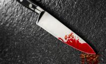 Кровавое застолье: коллега изрезал ножом мужчину