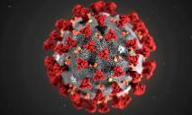 Ситуация с коронавирусом в Днепре, свежая статистика