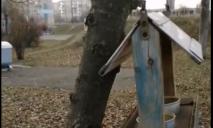Оставила голодных птичек умирать — на Днепропетровщине бабушка украла кормушку (ВИДЕО)