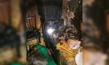 Вытащили из огня живым: под Днепром пожарные подарили мужчине вторую жизнь