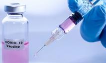 Будет ли Украина использовать российскую вакцину от COVID-19