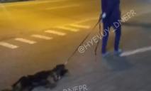 В Днепре женщина тащила по улице мертвую собаку
