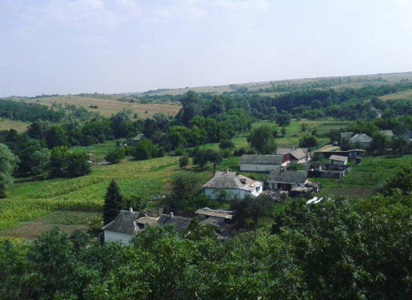 Спасибо тыквам: село на Днепропетровщине признали самым невероятным в Украине. Новости Днепра