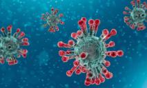 123 новых зараженных коронавирусом в Днепре, еще пятеро умерли