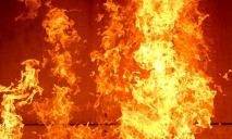 В результате пожара на Днепропетровщине пострадали двое малолетних детей