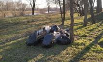 Жителю Днепропетровщины вернули выброшенный им мусор вместе с протоколом