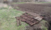 Вместо картошки: в огороде обнаружили 77 боеприпасов (ФОТО, ВИДЕО)