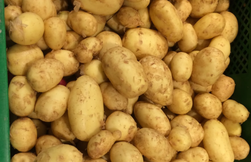 Новости Днепра про В супермаркете Днепра продают картошку по цене килограмма свинины
