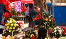 Искусственные цветы – зло: днепрянам напомнили, что их продажа запрещена