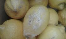 В «Варусе» продают «лимоны бри»: плесень за 46 гривен