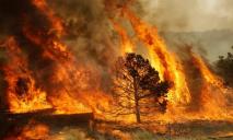 Не прячьте огнетушители: на Днепропетровщине прогнозируют высокий уровень пожароопасности